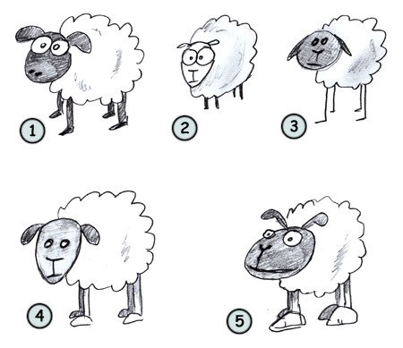 Sheep